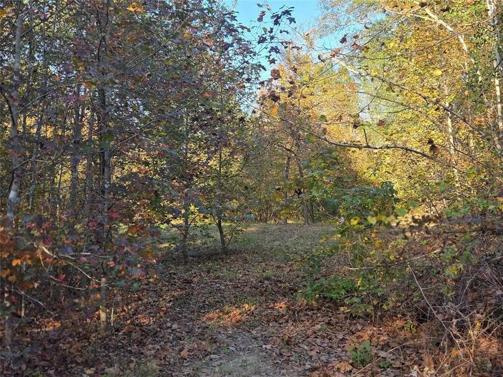 3 acres in Red River County - photo 4