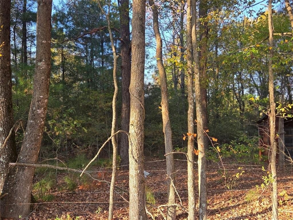 3 acres in Red River County - photo 17