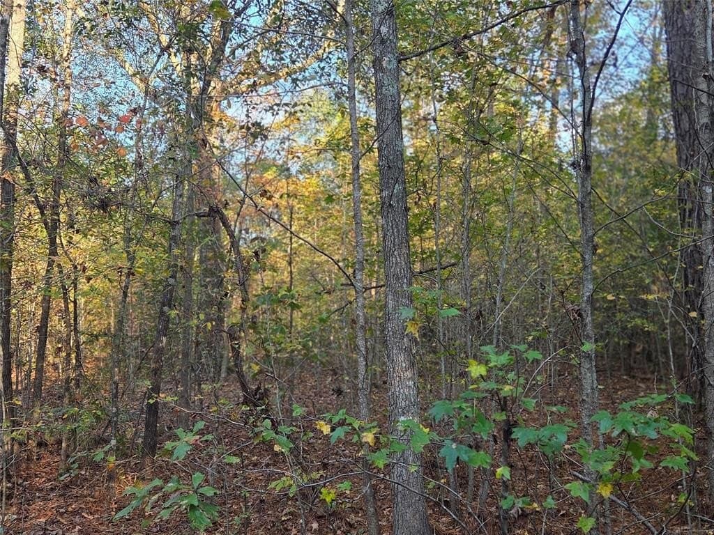 3 acres in Red River County - photo 11
