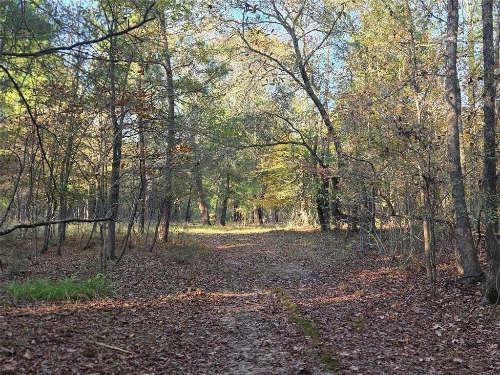 3 acres in Red River County - photo 10