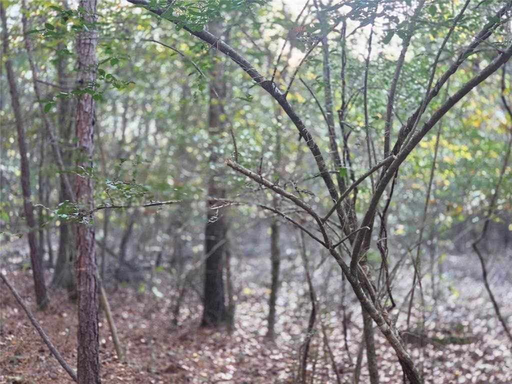 3 acres in Red River County - photo 12