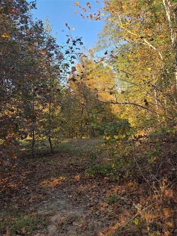 3 acres in Red River County - photo 5