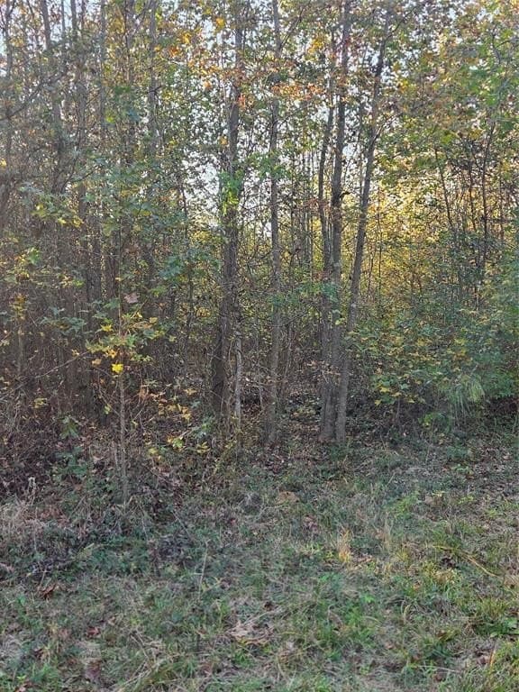 3 acres in Red River County - photo 7