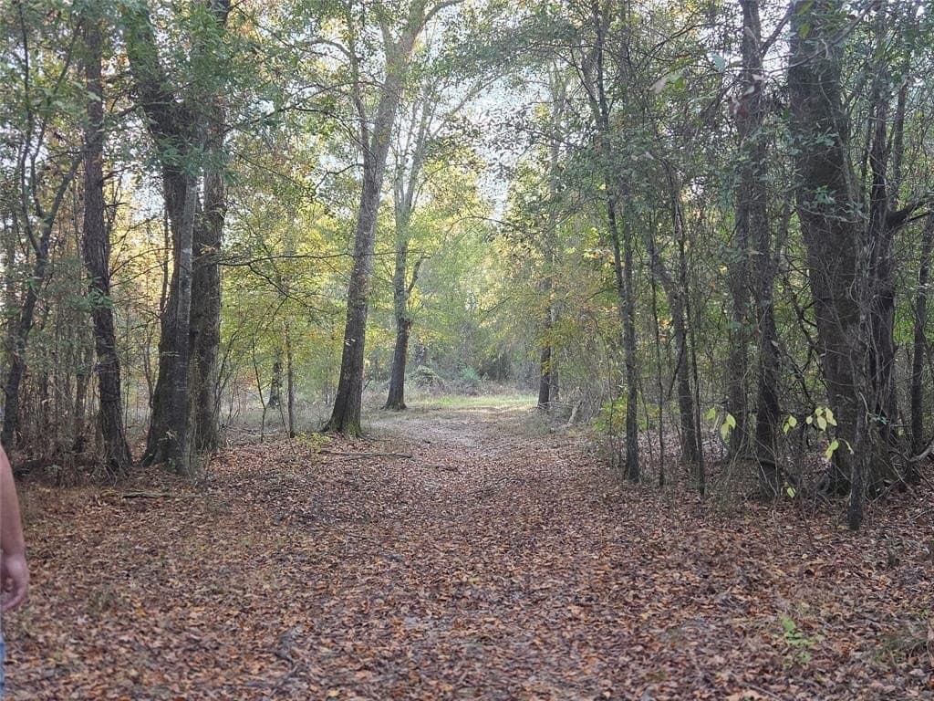 3 acres in Red River County - photo 13