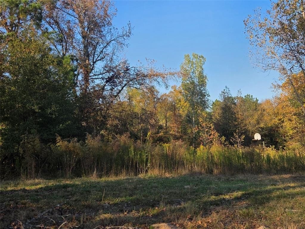 3 acres in Red River County - photo 18