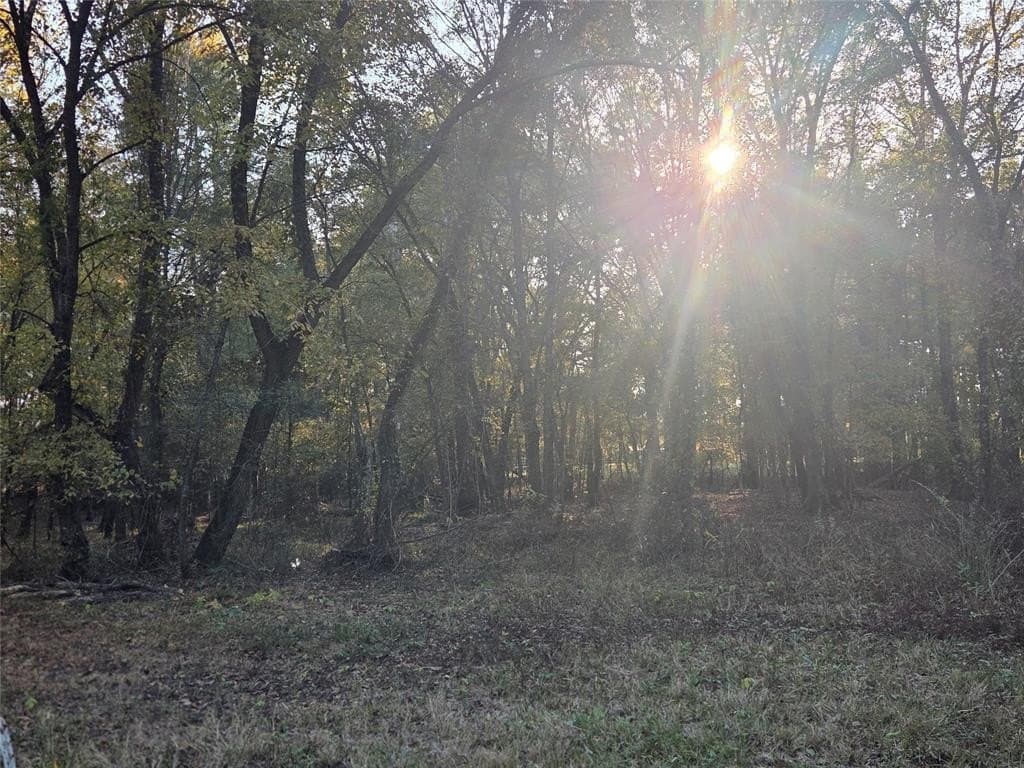 3 acres in Red River County - photo 16