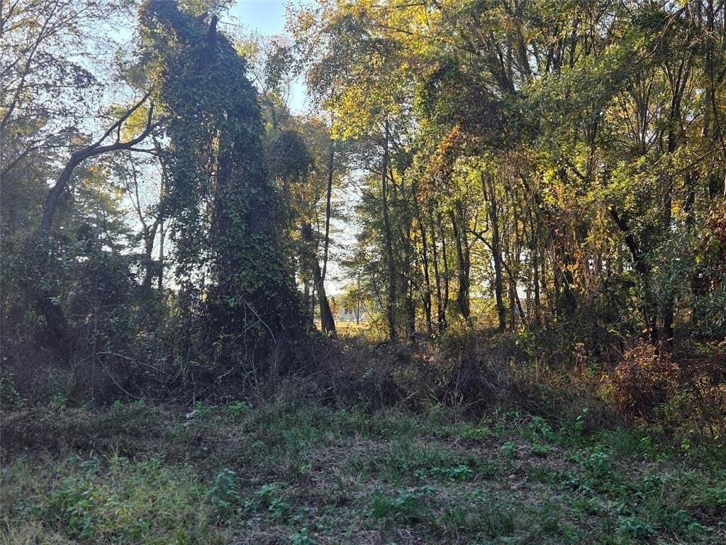 3 acres in Red River County - photo 15
