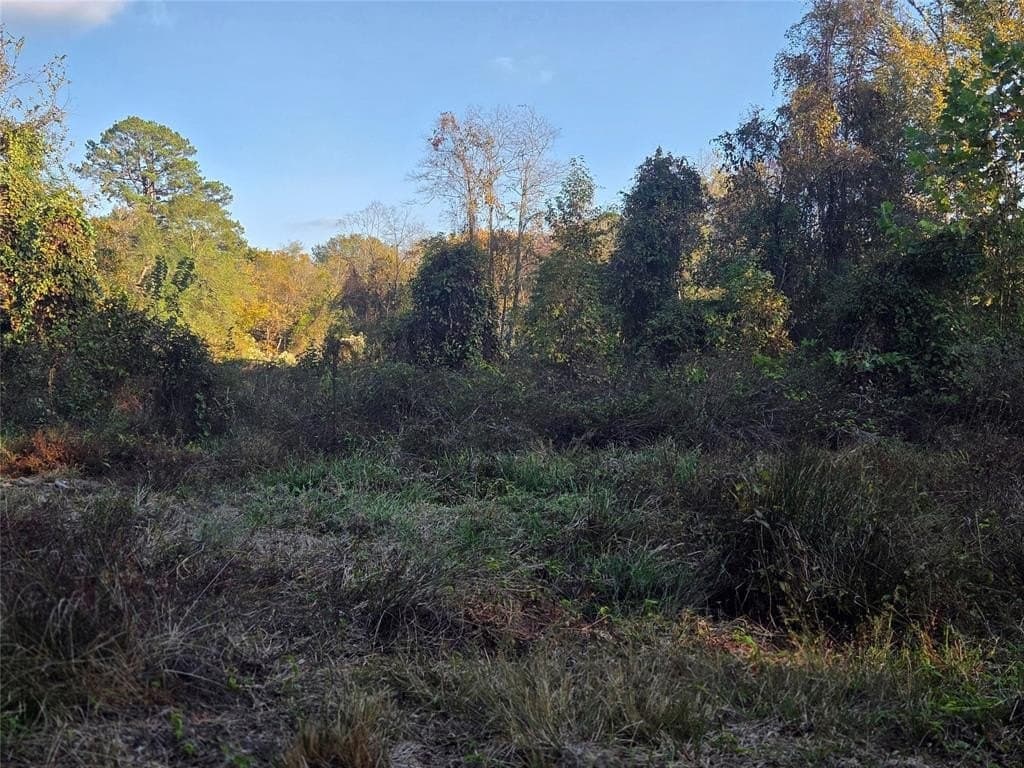 3 acres in Red River County - photo 14