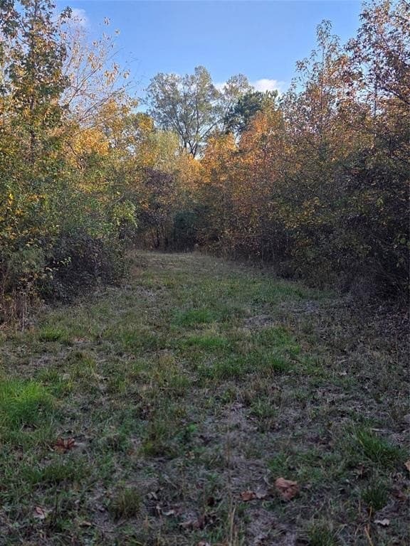 3 acres in Red River County - photo 8