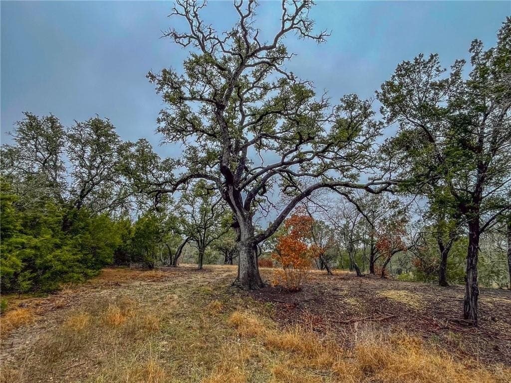 20.44 acres in Hamilton County - photo 15