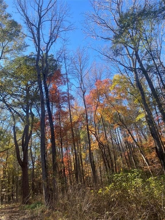 44.21 acres in Van Zandt County - photo 7