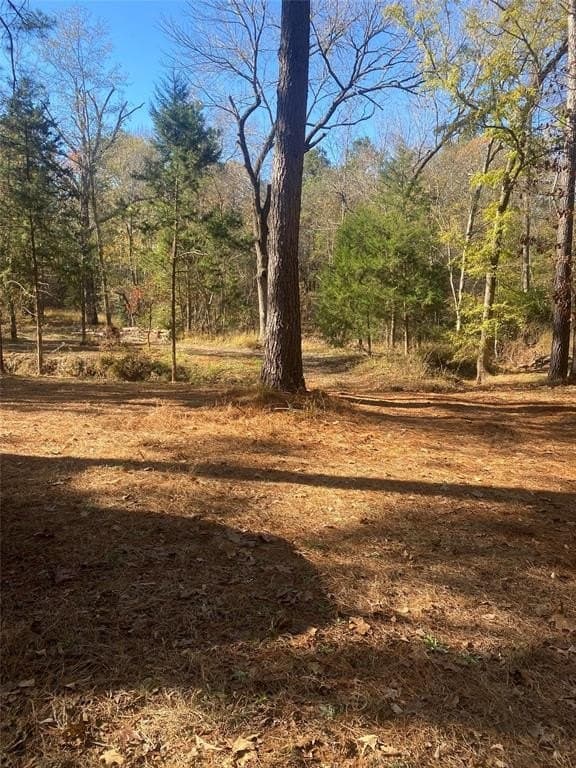 44.21 acres in Van Zandt County - photo 4