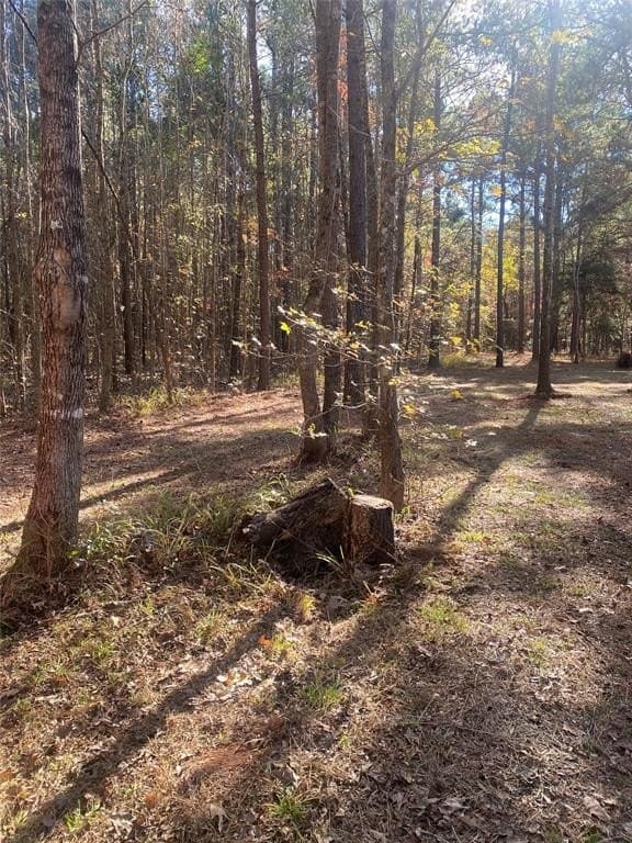 44.21 acres in Van Zandt County - photo 5
