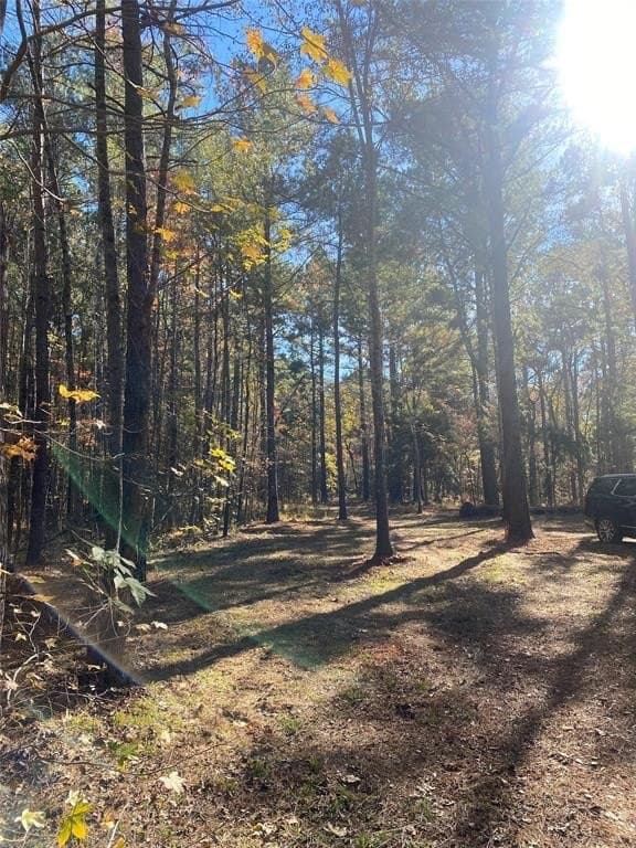 44.21 acres in Van Zandt County - photo 3