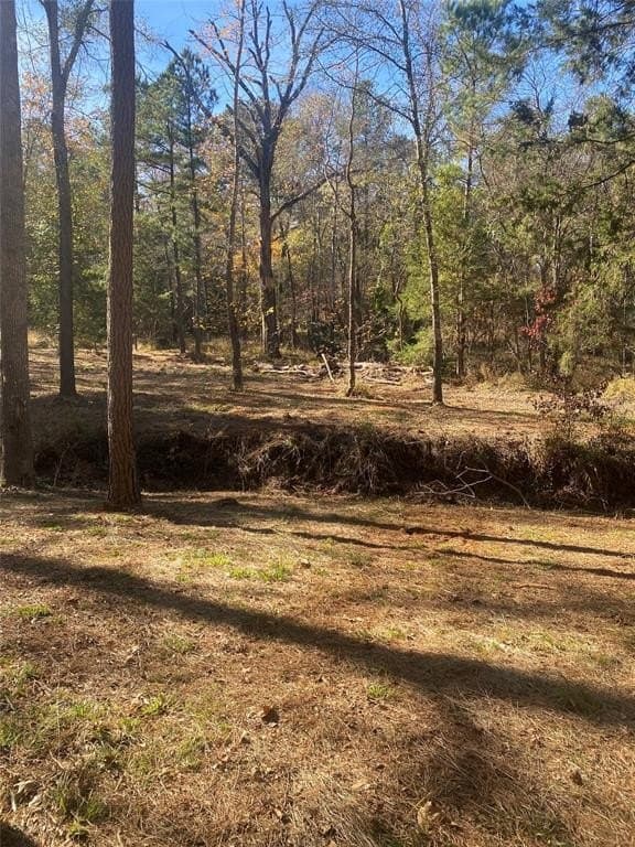44.21 acres in Van Zandt County - photo 15