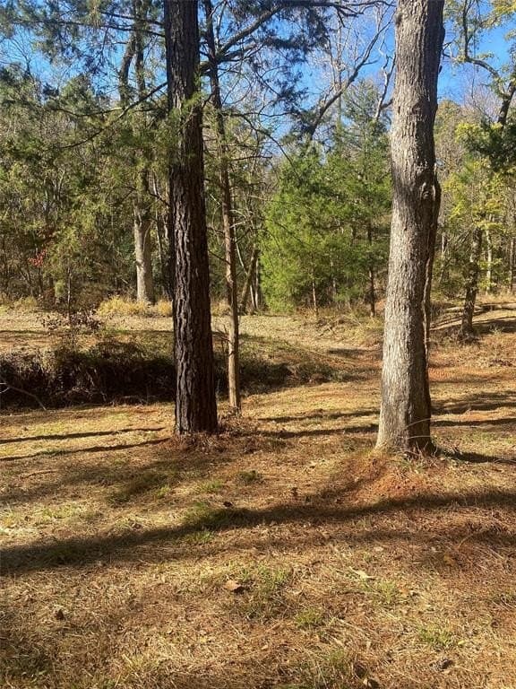 44.21 acres in Van Zandt County - photo 14