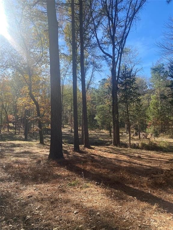 44.21 acres in Van Zandt County - photo 16