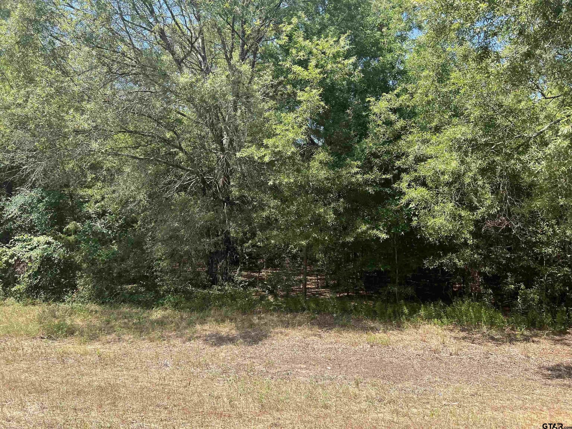15 acres in Camp County - photo 2