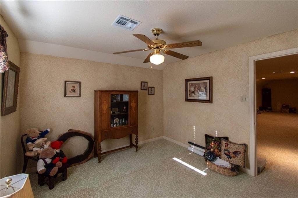 15.99 acres in McLennan County - photo 19