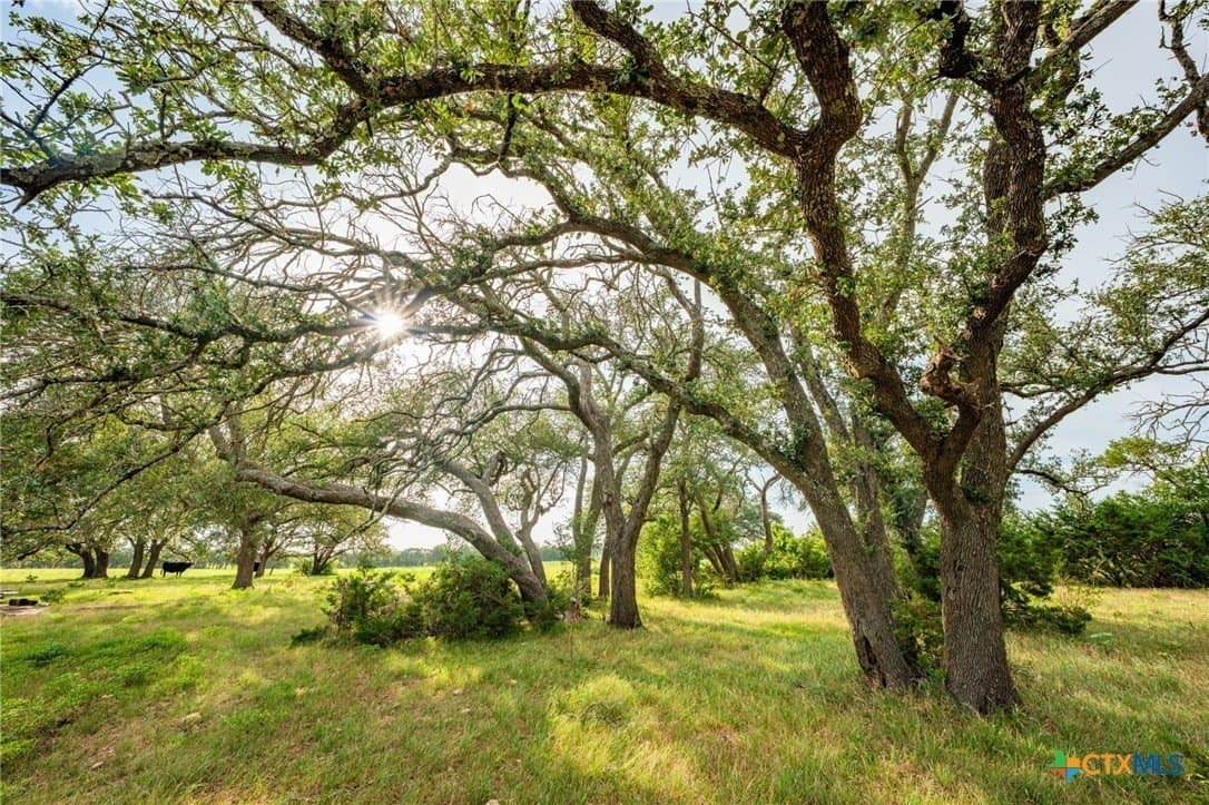 68.33 acres in Williamson County - photo 21