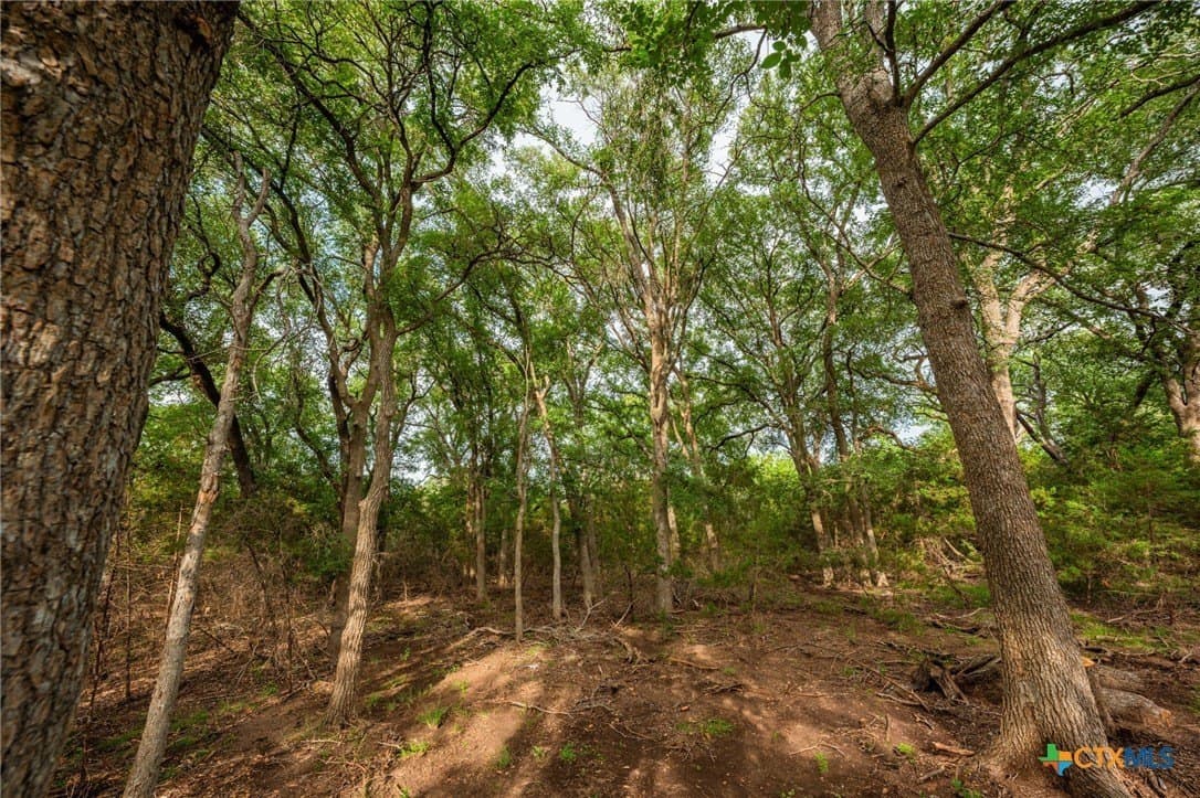 68.33 acres in Williamson County - photo 15
