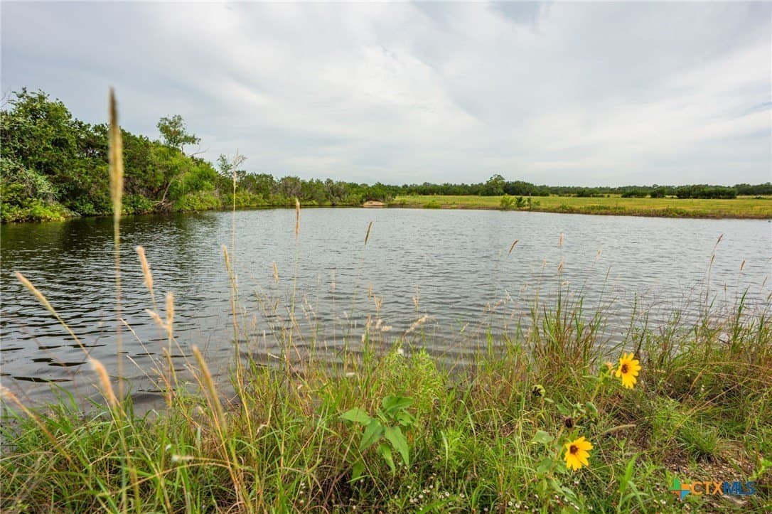 68.33 acres in Williamson County - photo 12