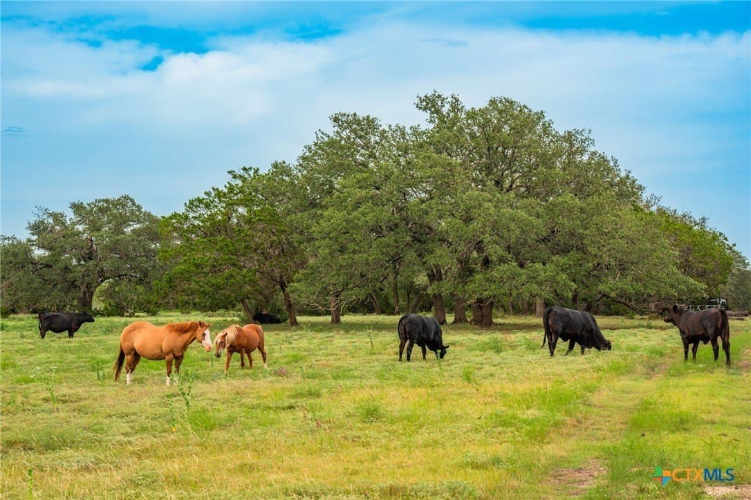 68.33 acres in Williamson County - photo 10