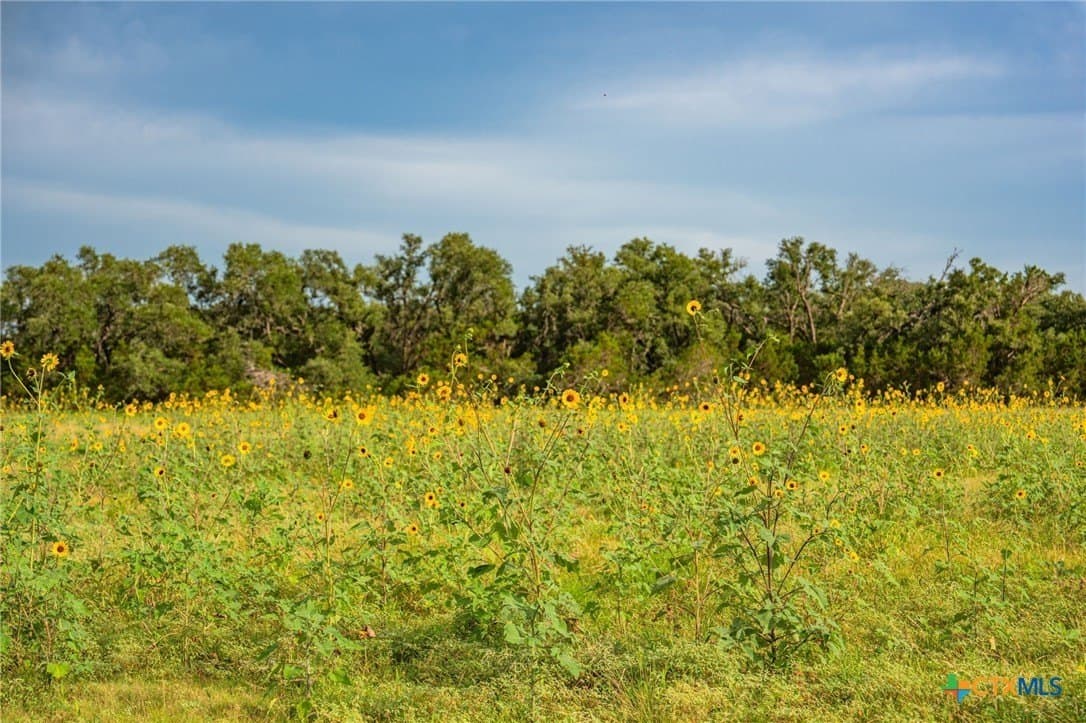 68.33 acres in Williamson County - photo 19