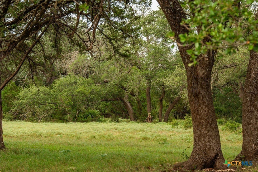 68.33 acres in Williamson County - photo 11