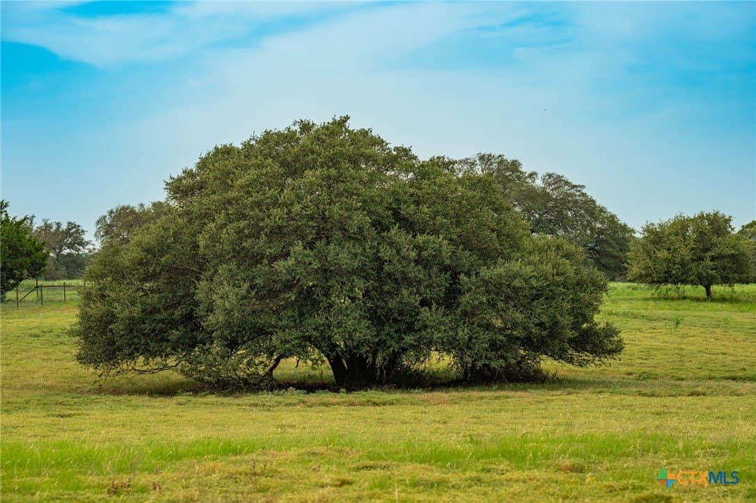 68.33 acres in Williamson County - photo 9