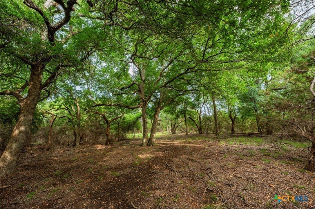 68.33 acres in Williamson County - photo 14