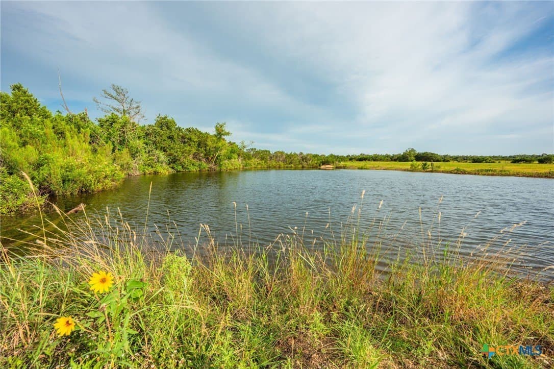 68.33 acres in Williamson County - photo 20