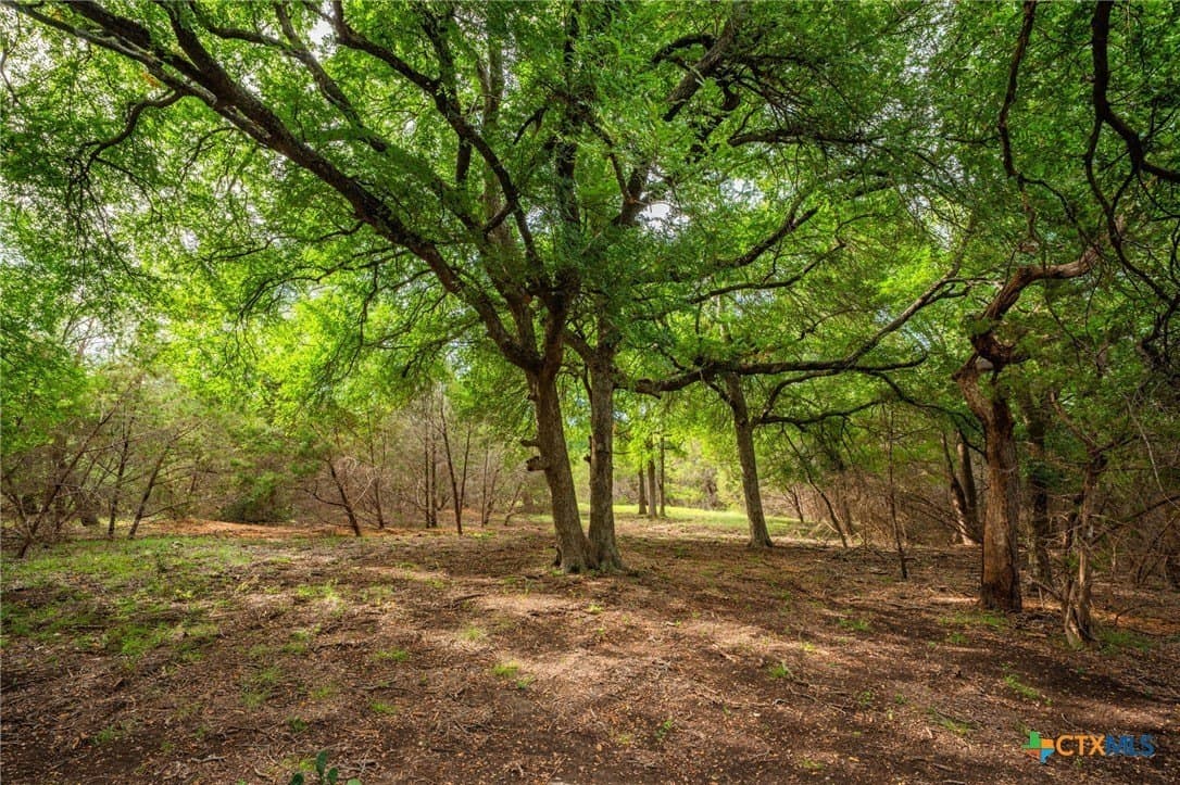 68.33 acres in Williamson County - photo 16