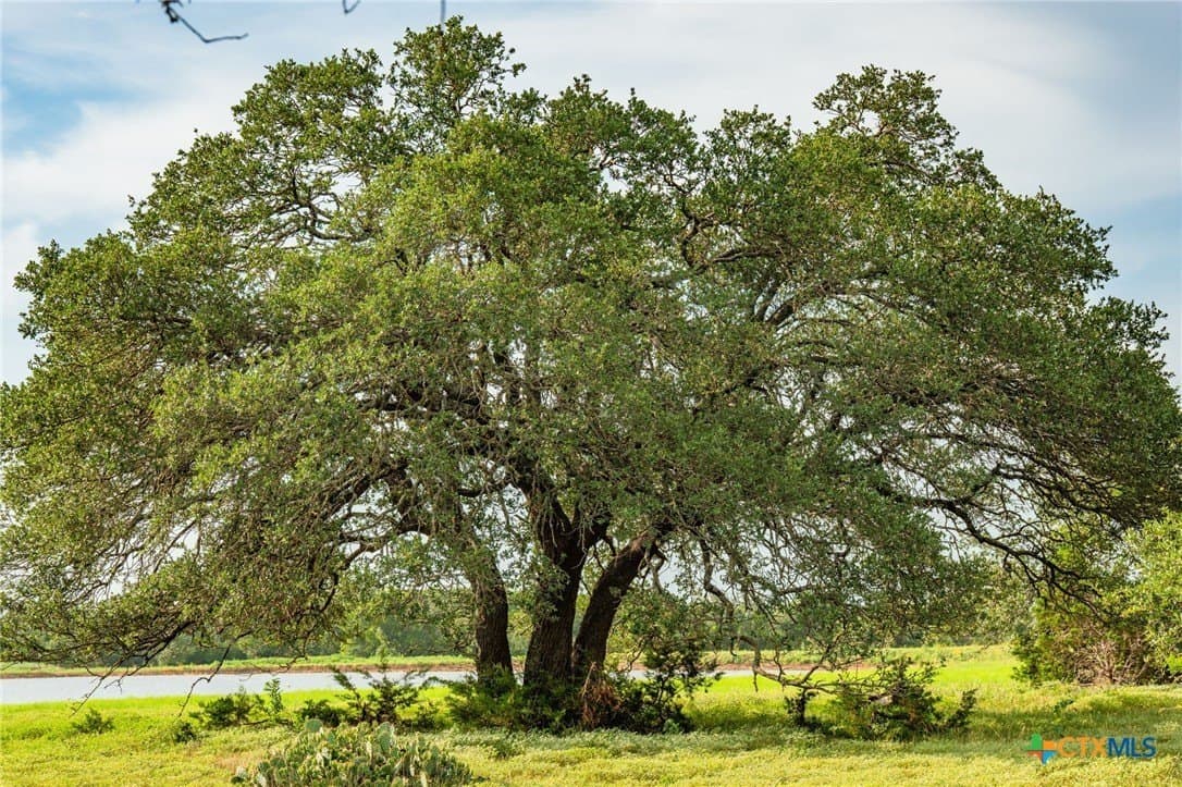 68.33 acres in Williamson County - photo 22