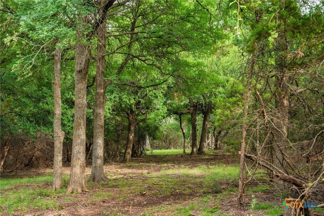 68.33 acres in Williamson County - photo 13