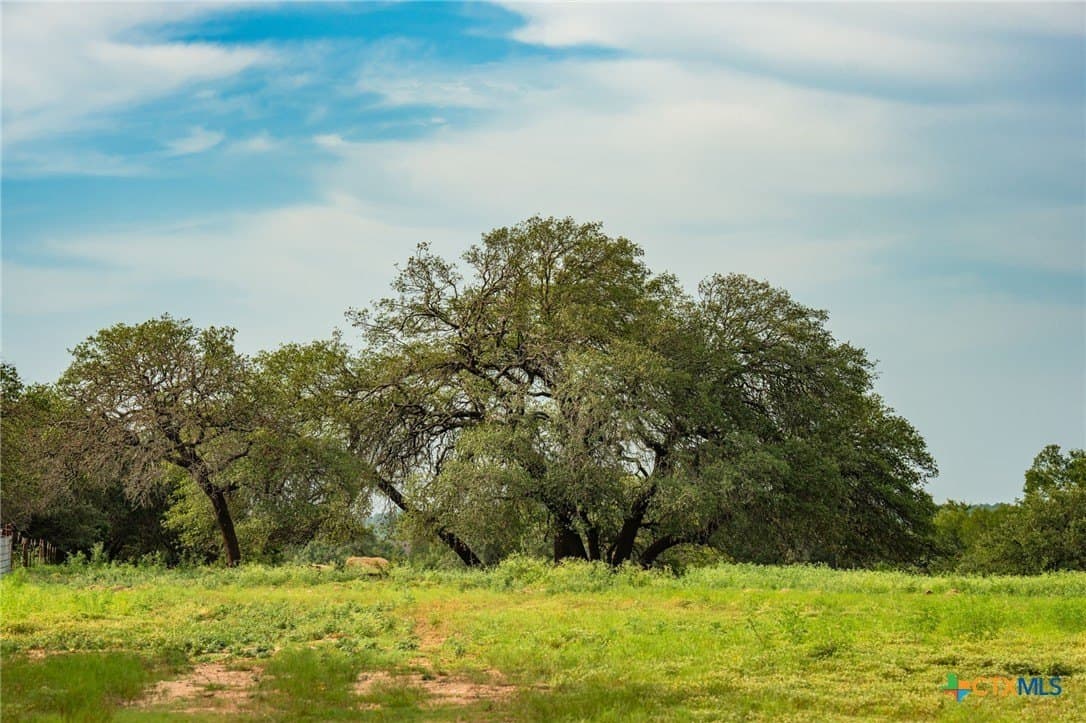 68.33 acres in Williamson County - photo 17