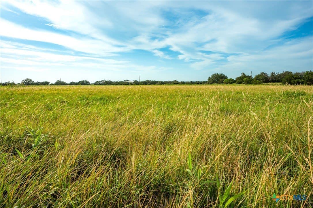 68.33 acres in Williamson County - photo 18