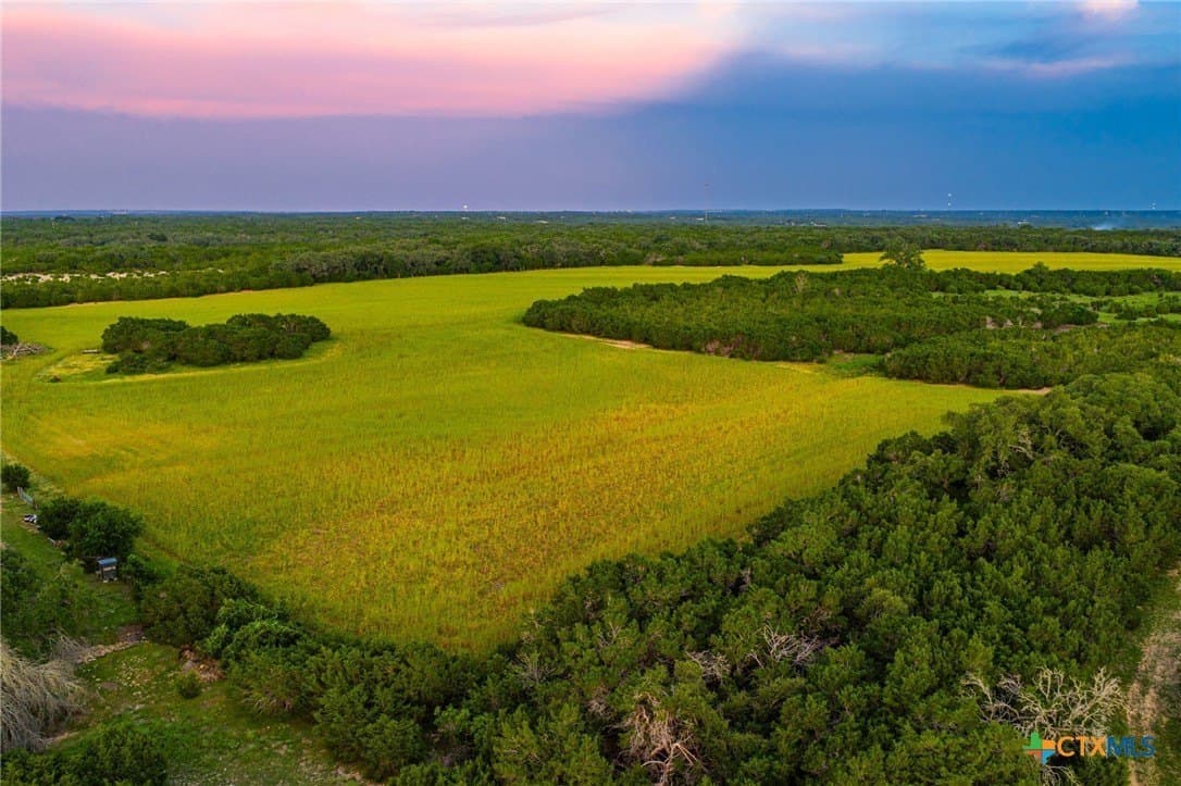 68.33 acres in Williamson County - photo 3