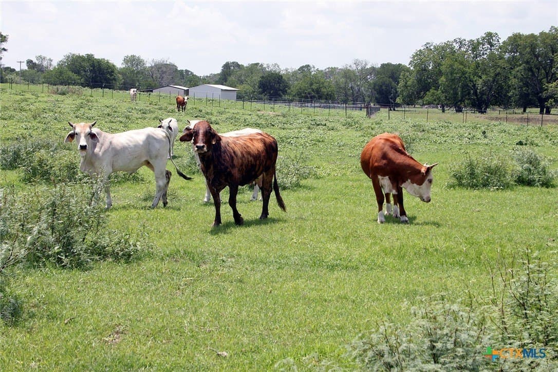 116.2 acres in Caldwell County - photo 5