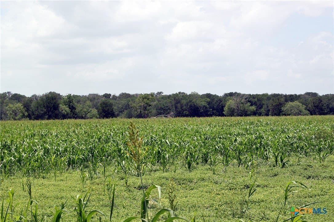 116.2 acres in Caldwell County - photo 2