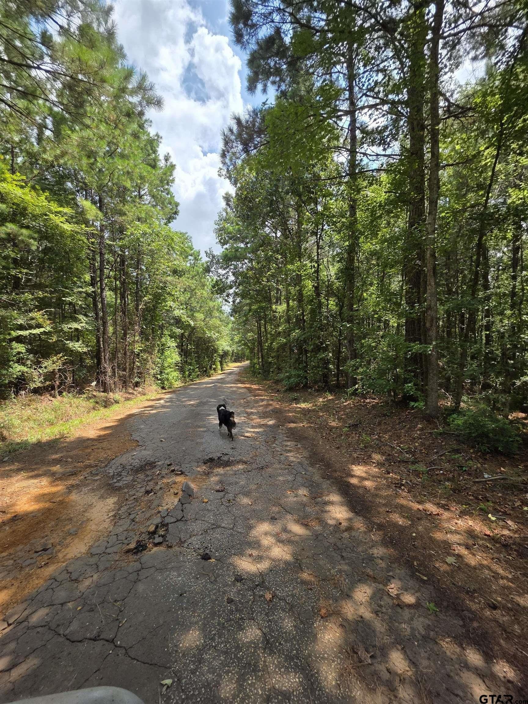 37.52 acres in Rusk County - photo 2