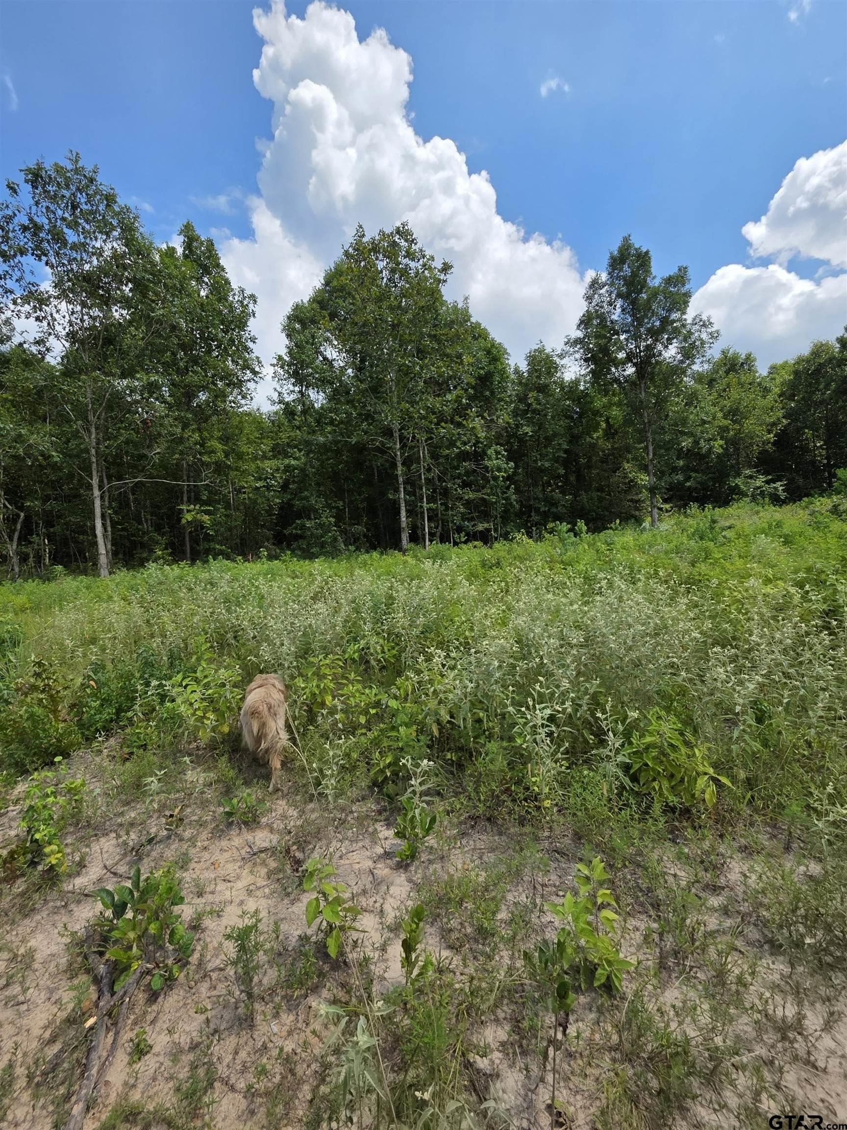 37.52 acres in Rusk County - photo 19
