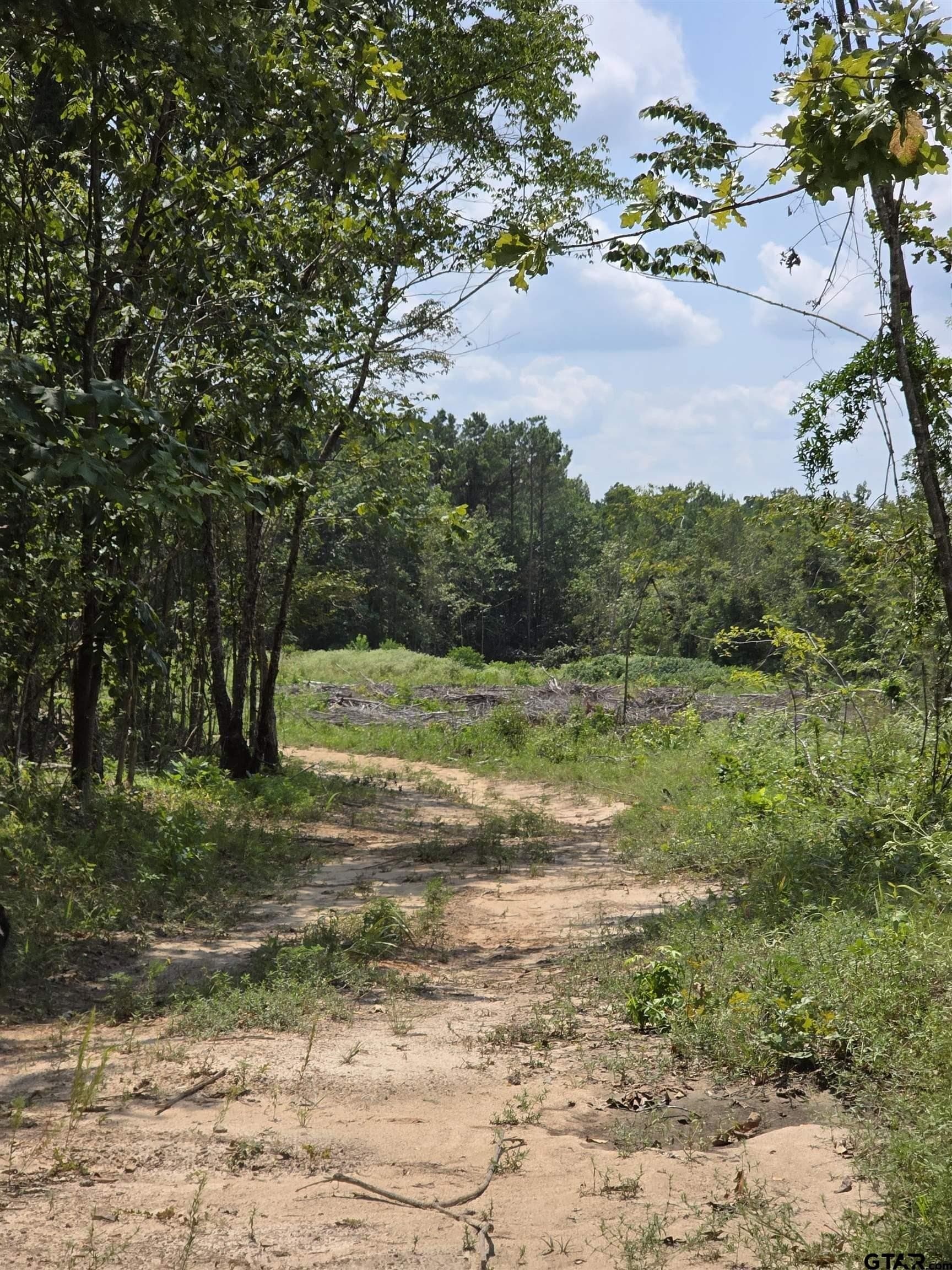 37.52 acres in Rusk County - photo 14