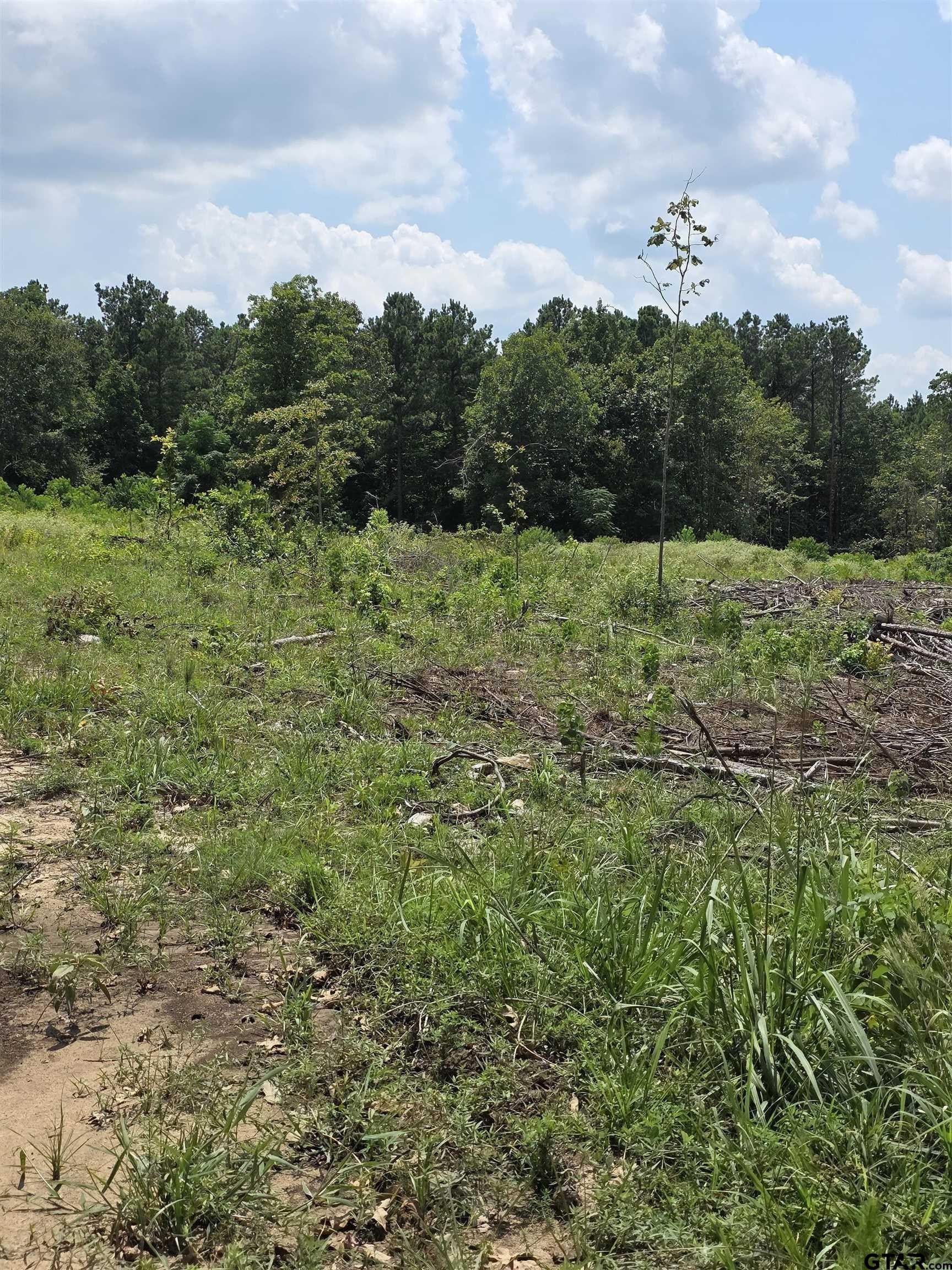 37.52 acres in Rusk County - photo 16