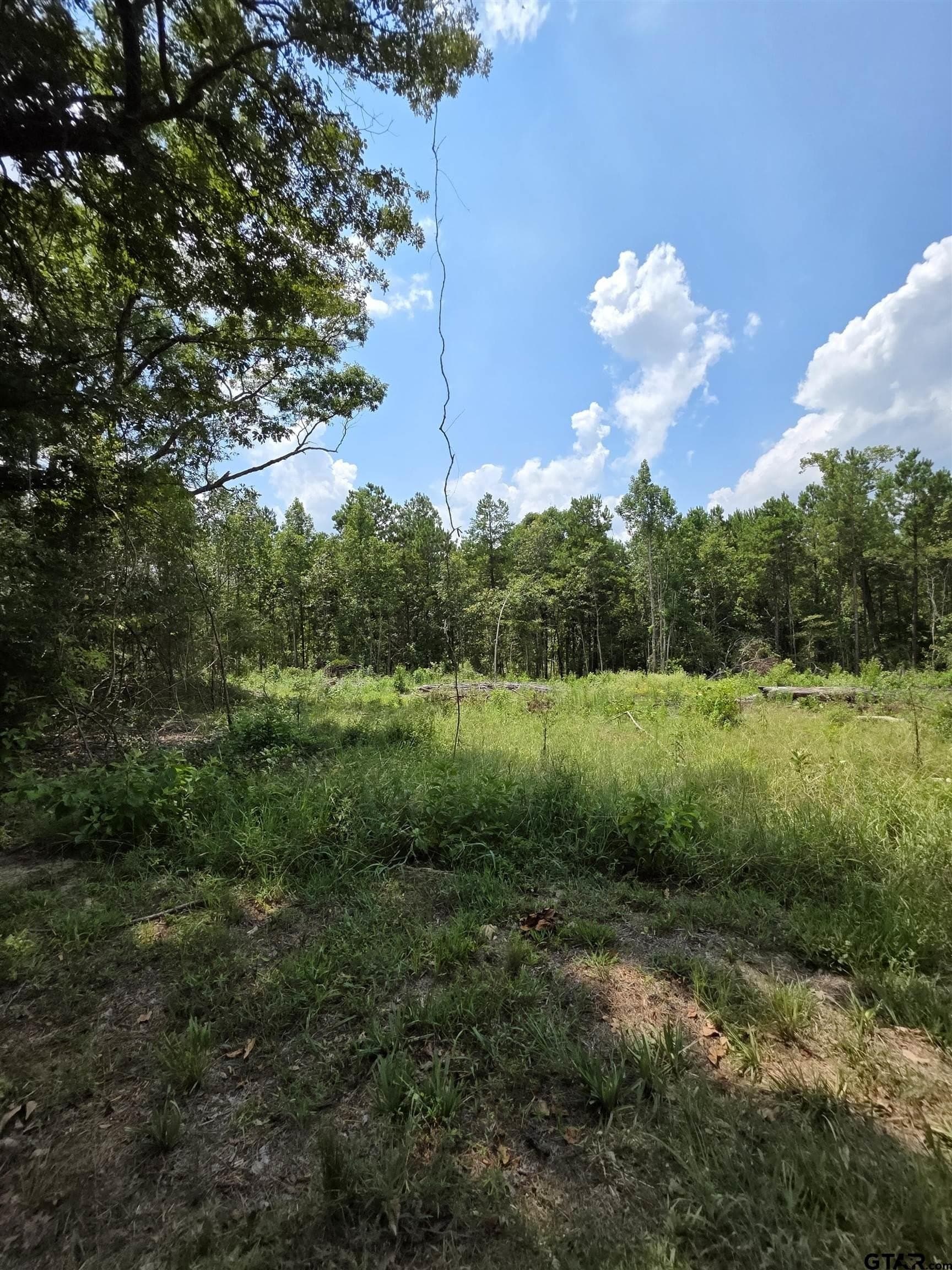 37.52 acres in Rusk County - photo 10