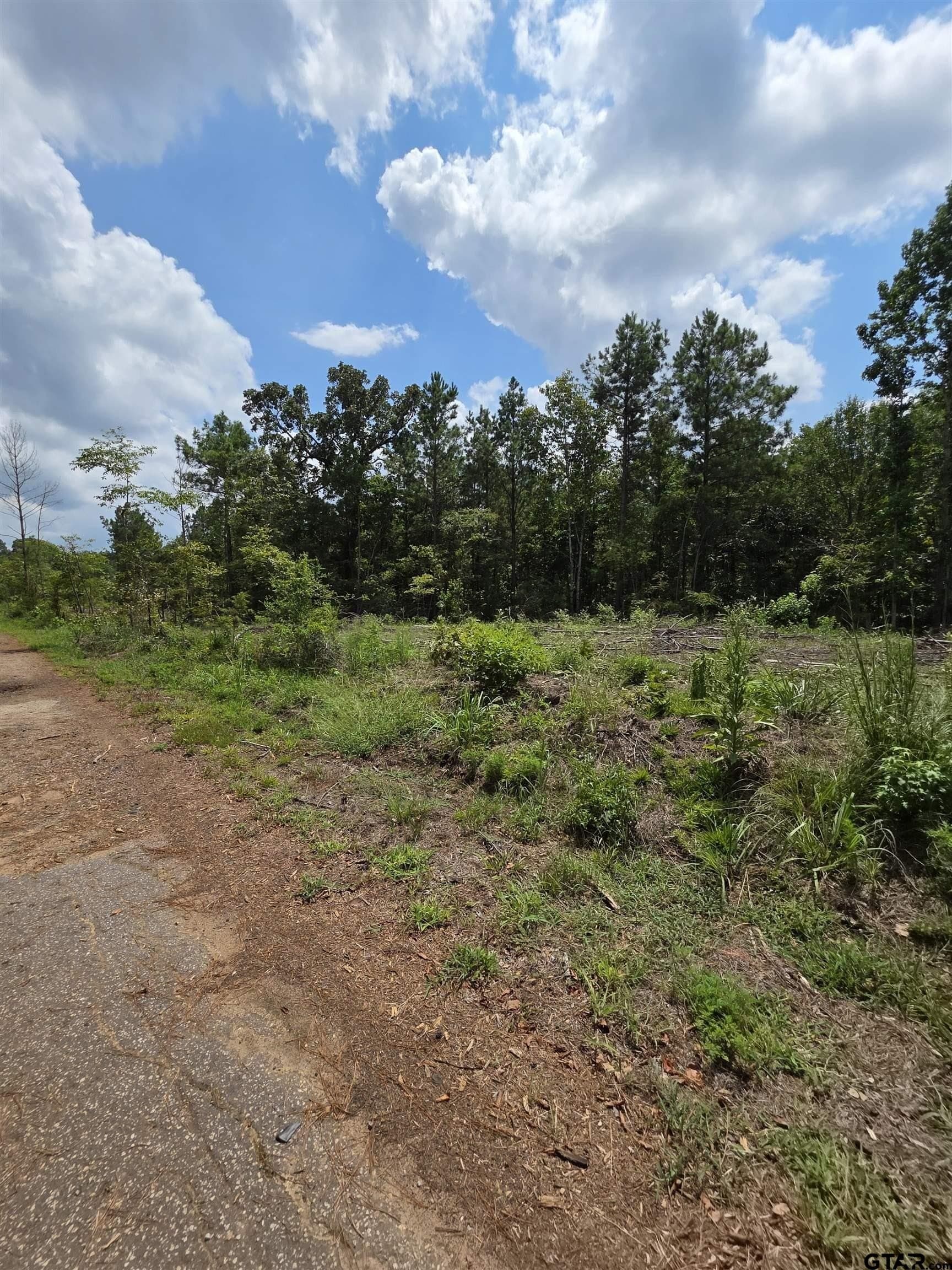 37.52 acres in Rusk County - photo 6