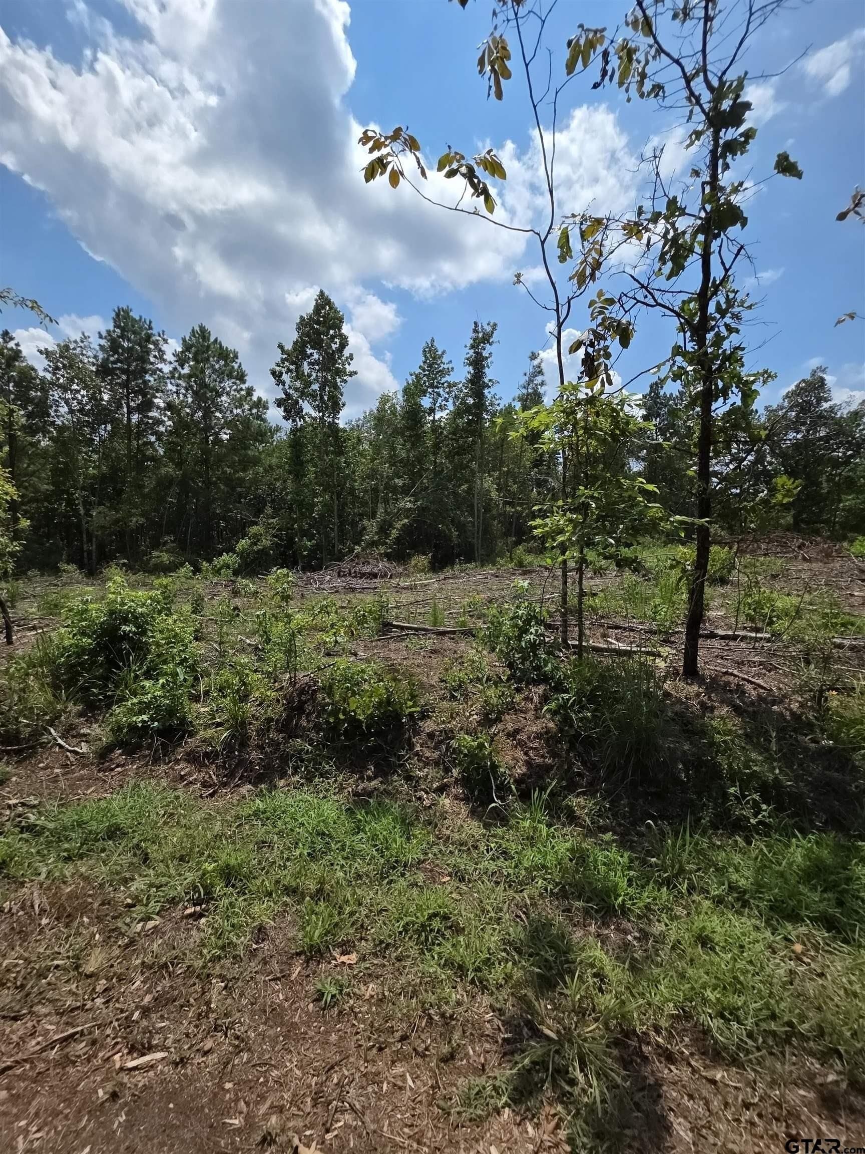 37.52 acres in Rusk County - photo 5