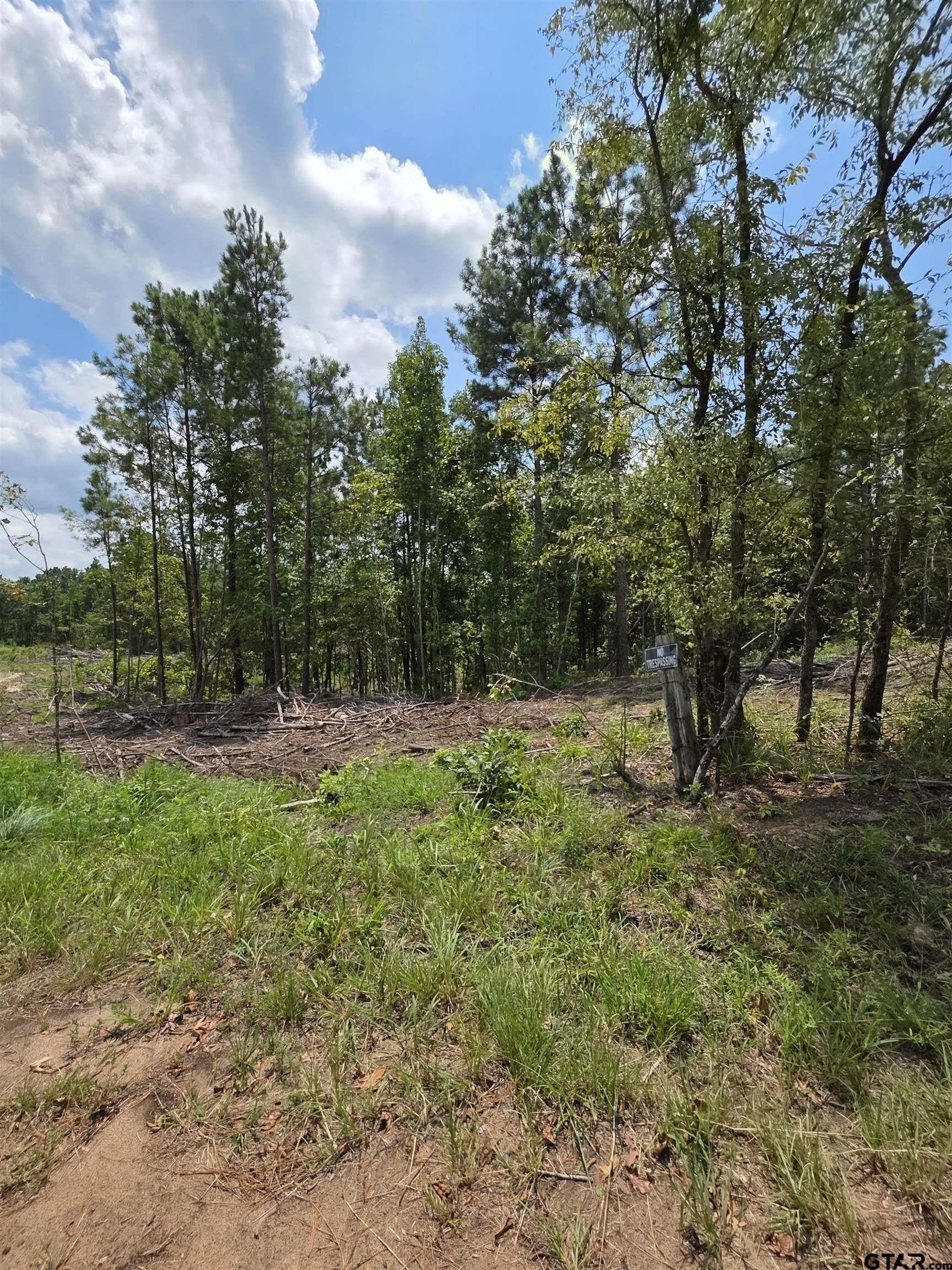 37.52 acres in Rusk County - photo 7