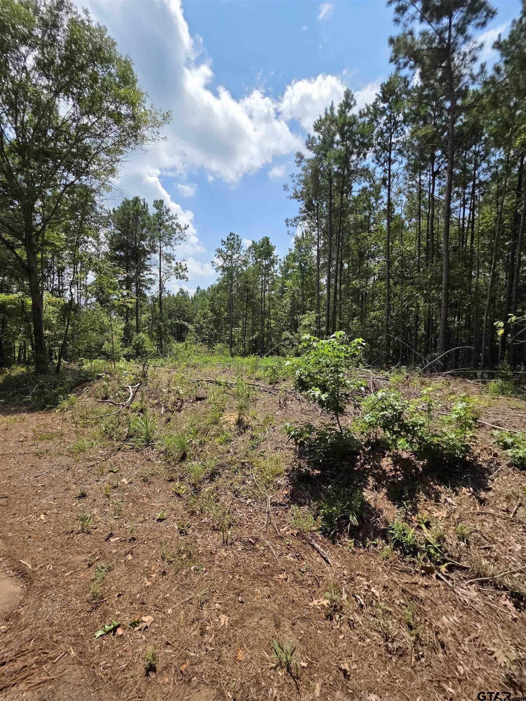 37.52 acres in Rusk County - photo 4