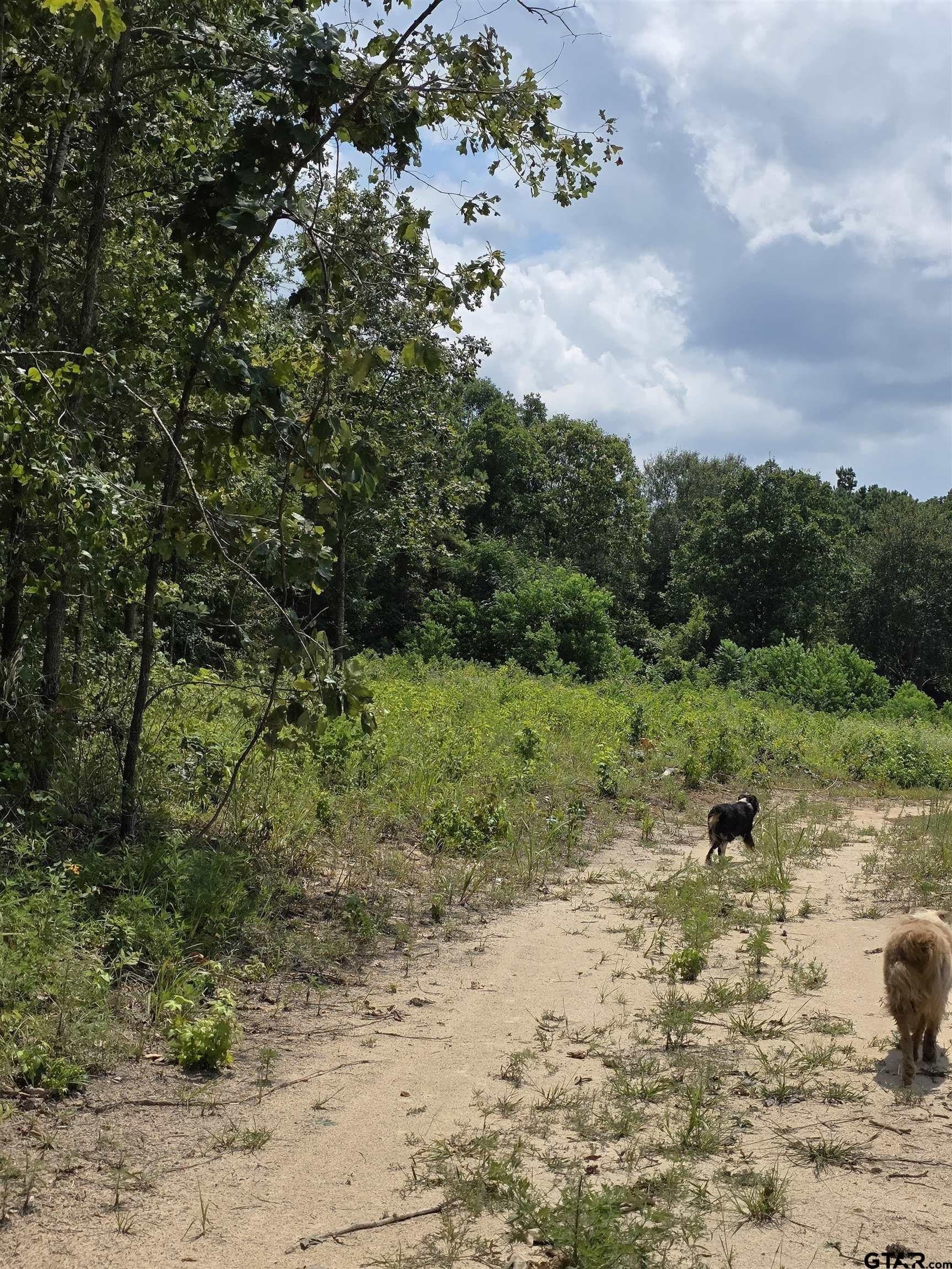 37.52 acres in Rusk County - photo 17